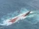 Kapal Virgo Transport 8 Raib di Laut Jawa, 243 Orang Masih Dicari